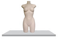 ТОРС ЖЕНСКИЙ ТЕЛЕСНЫЙ FEMALE TORSO-3-BEIGE 421A