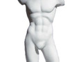 Торс G PREMIUM TORSO MALE